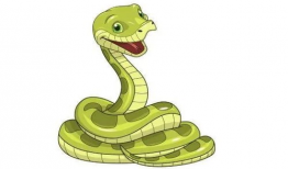 花蛇漫画,趣味横生的日常趣事