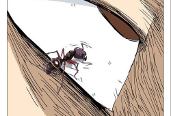 蚂蚁篇漫画,团结协作，共筑辉煌